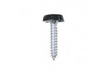 Pearl Moulded Number Plate Screws - Black