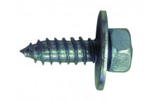 Pearl Radiator Fixing Screws