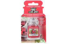 Yankee Candle 3D Jar Red Raspberry *