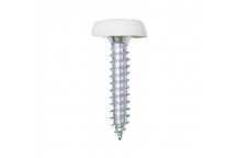 Pearl Moulded Number Plate Screws - White