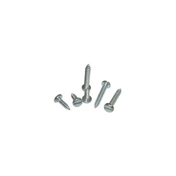 Pearl Slot Self Tap Screw - 1 x 10