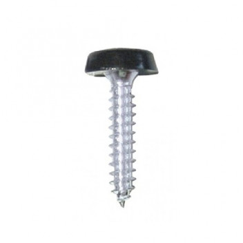 Pearl Moulded Number Plate Screws - Black