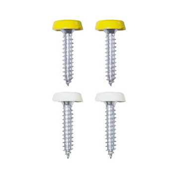 Pearl Assorted Moulded Number Plate Screws