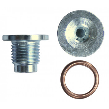 Pearl SUMP PLUG KIT CITROEN FIAT MINI M16