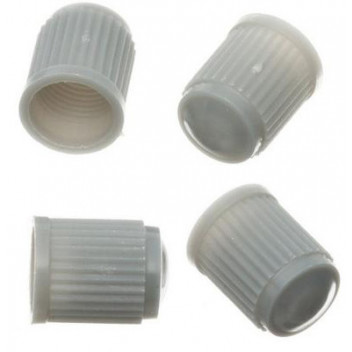 Pearl  Silver Plastic Valve Cap x4